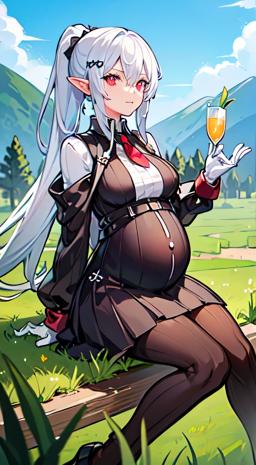 one girl, white hair, yellow color eye, elf, medium breast, long ponytail hairstyle, adventure theme, looking at the star, sitting in the grass, river, pregnant
