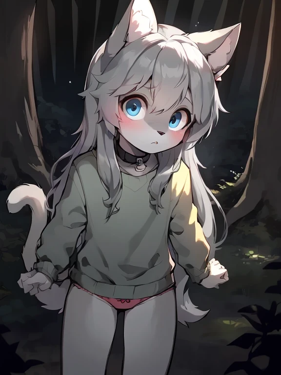 anthro boy cat, long hair, cat tail, solo, furry, furry boy, 1boy, scared, (girly, young, gray fur, gray body, blue eyes, gray hair:1.2), (panties, green sweater), (detailed background, forest, night, gray background), pose, bow collar, high-angle view