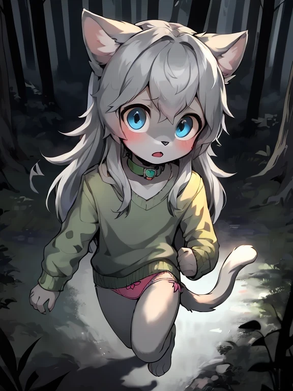 anthro boy cat, long hair, cat tail, solo, furry, furry boy, 1boy, scared, (girly, young, gray fur, gray body, blue eyes, gray hair:1.2), (panties, green sweater, bow collar), (detailed background, forest, night, gray background), ((run, high-angle view))