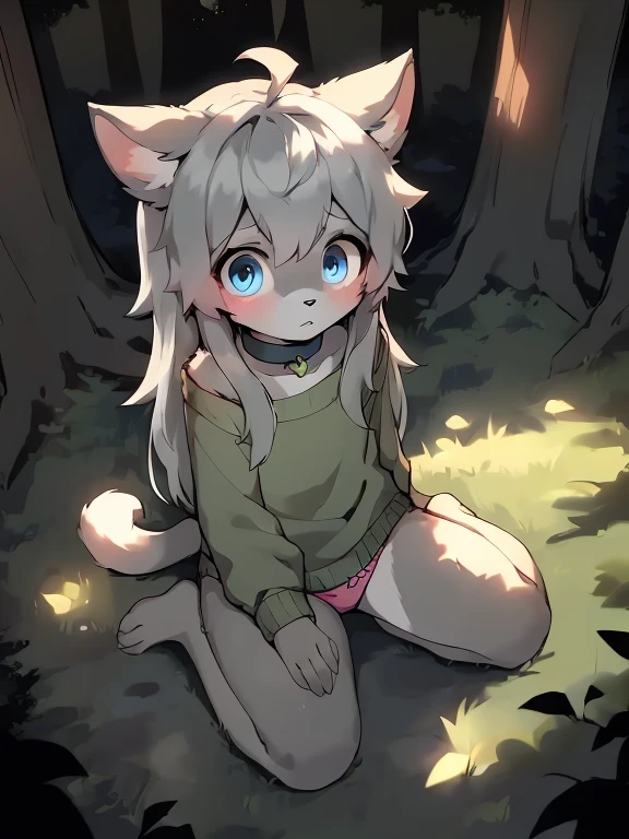 anthro boy cat, long hair, cat tail, solo, furry, furry boy, 1boy, scared, (girly, young, gray fur, gray body, blue eyes, gray hair:1.2), (panties, green sweater, bow collar), (detailed background, forest, night, gray background), ((sitting on ground, high-angle view))