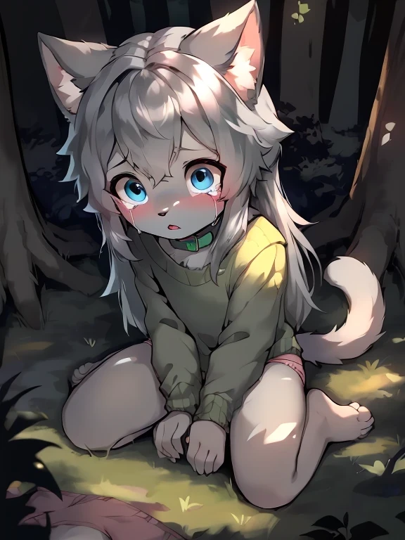 anthro boy cat, long hair, cat tail, furry, furry boy, 1boy, crying, scared, (girly, young, gray fur, gray body, blue eyes, gray hair:1.2), (panties, green sweater, bow collar), (detailed background, forest, night, gray background), ((sitting on ground, high-angle view)), helping hand