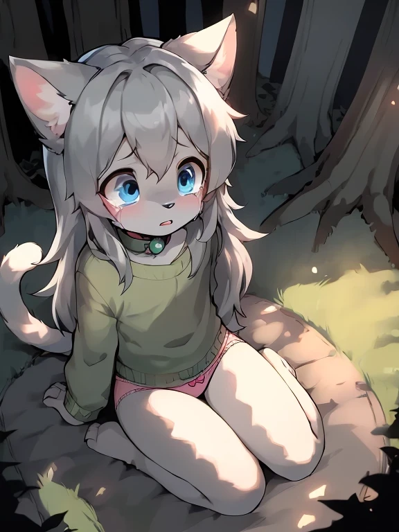 anthro boy cat, long hair, cat tail, furry, furry boy, 2boy, crying, scared, looking at another, (girly, young, gray fur, gray body, blue eyes, gray hair:1.2), (panties, green sweater, bow collar), (detailed background, forest, night, gray background), ((sitting on ground, high-angle view))