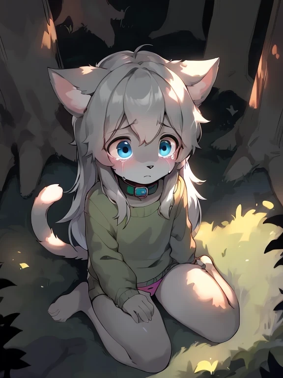 anthro boy cat, long hair, cat tail, furry, furry boy, 2boy, crying, scared, looking at another, (girly, young, gray fur, gray body, blue eyes, gray hair:1.2), (panties, green sweater, bow collar), (detailed background, forest, night, gray background), ((sitting on ground, high-angle view))