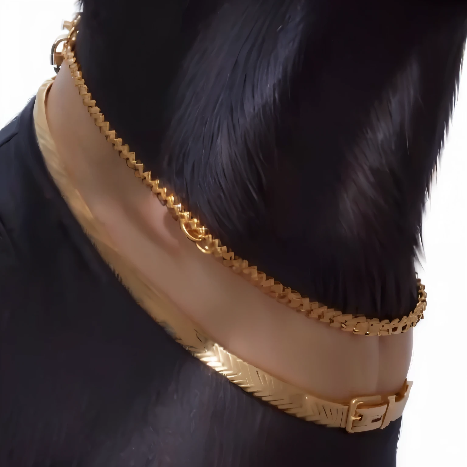 there is a black dog with a brown collar and extended neck, gorguera, , Collar detallado de oro, gold belt, cuello en el cuello, collar de oro, cuello visible, cuello alrededor del cuello, collar dorado, Collar detallado de oro!!!!!, ( ( ( oro ) ) )
