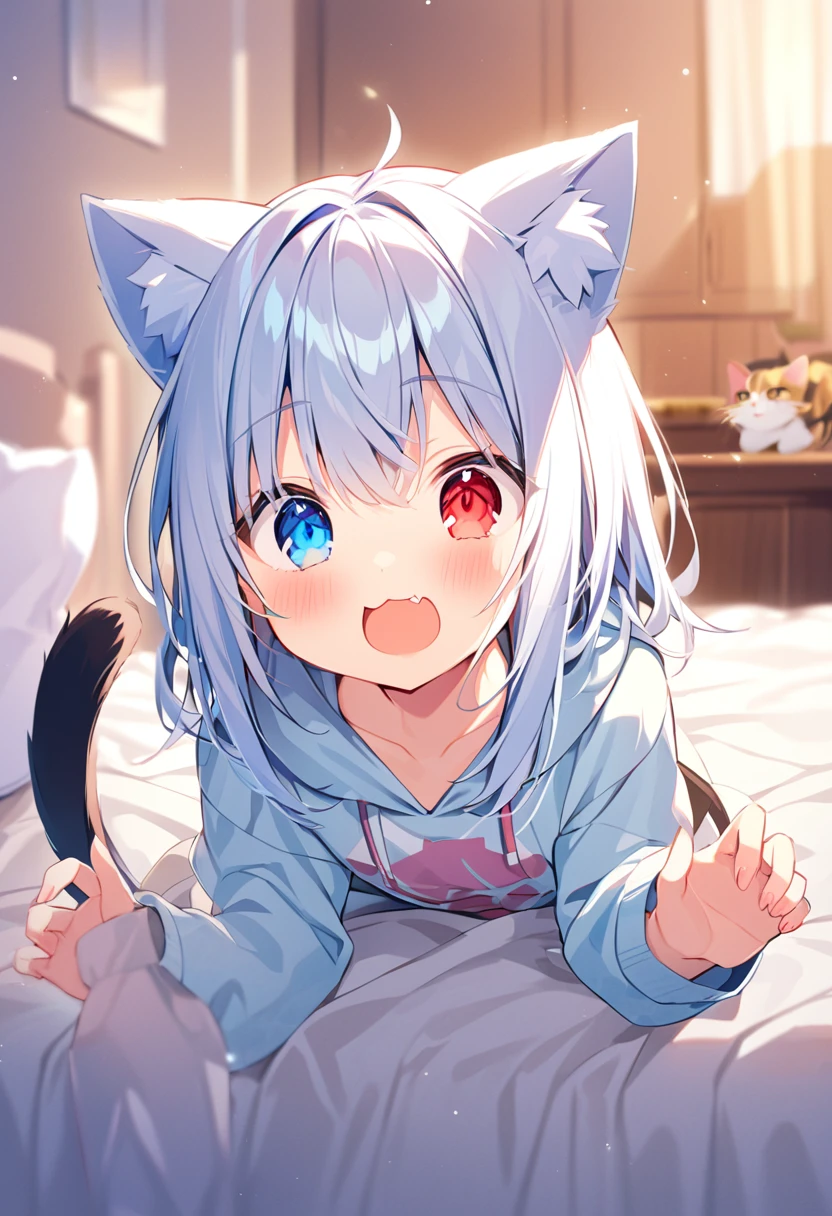 girl,hoodie,On the bed,Excited,Heterochromia Red Eyes Blue Eyes,Flat Chest,Cat ear,Feline tail,boy,cute,Cat ear,Cat&#39;s Tail,topless,nsfw