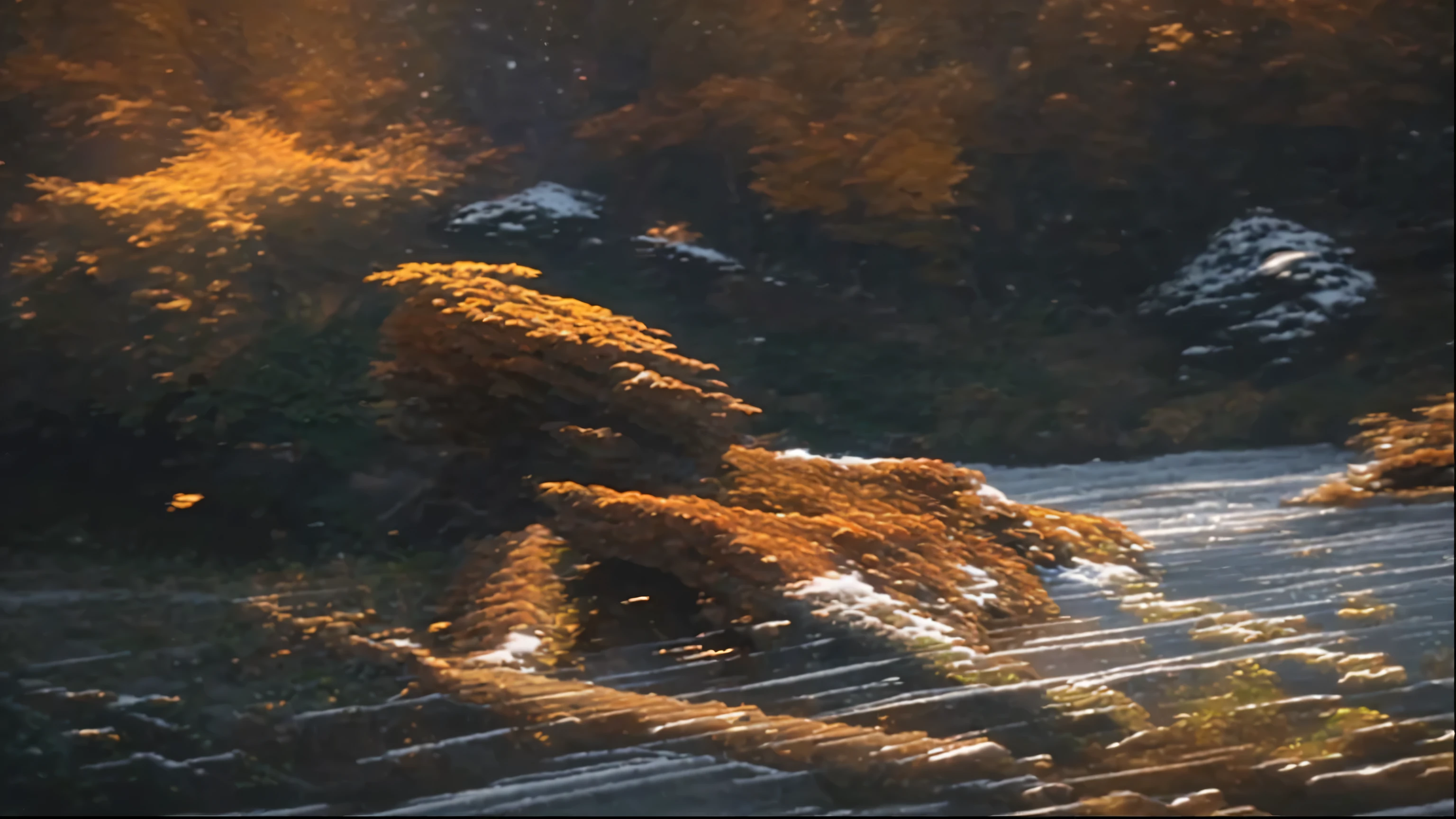 increase the picture size to make it fit for windows 10 background picture