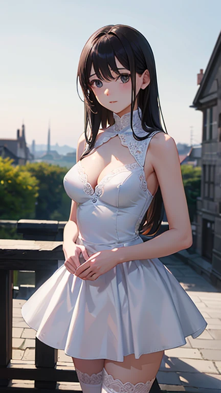masterpiece, highest quality,健全なphotograph、 One Girl, View your audience, Small waist, RAWphotograph,Western castle in the distance(landscape) 、Ultra-realistic, High resolution, photograph, Sharp focus, Most detailed, Very detailed, Very detailed, In detail, Very detailed目と顔、Idol、Thighs, beautiful girl,View your audience, Small waist,Symmetrical face, whole body、White lace dress、Sleeveless、White Lace Micro Skirt、White lace knee socks、Cleavage、Large Breasts、Long Hair、はだけたThighs、美しいCleavage、Shaking breasts、Embarrassed、slouch