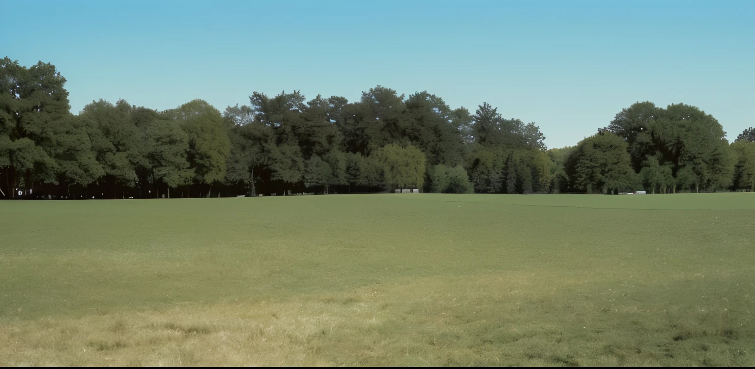 High-quality photograph of an extensive, photorealistic, grassy plain, grass field surrounding the city, park background, park landscape, in a large grassy green field, an open field, park in background, grass field, grassy field, with a park in the back ground, without green grass, grassy plains, open field, grassy fields, a park