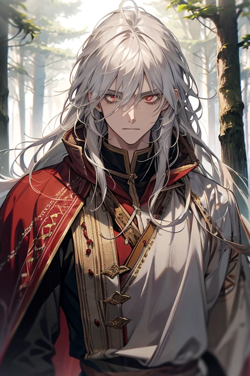 1male, calm, age 35 face, long messy hair with bangs, white hair, red colored eyes, (druid, forest, howl), druid armour