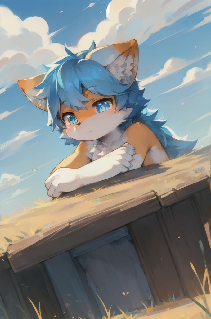 shaggy，Fluffy,,，Cuties，Ladies，Blue fur，A small amount of orange-yellow fur，Light blue pupils，Pure white ears，Sky Blue Tail，The tail is pointed orange，The figure is good，bright sky，the clouds，grass field，Alone，in a meadow，Sit on your knees，Shying