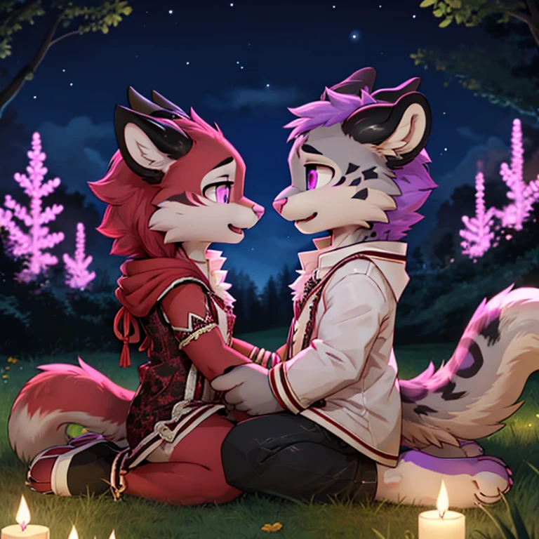 Anthropomorphic male snow leopard, with purple eyes, pink nose, 4 black ears, purple spikes on back, purple horns, with a red third eye, and a male crimson fox with pink nose, black ears, horns and purple eyes, side view, fullbody view, duo, sitting on the grass, digital art, on date, outside, wearing formal clothes, at night, talking