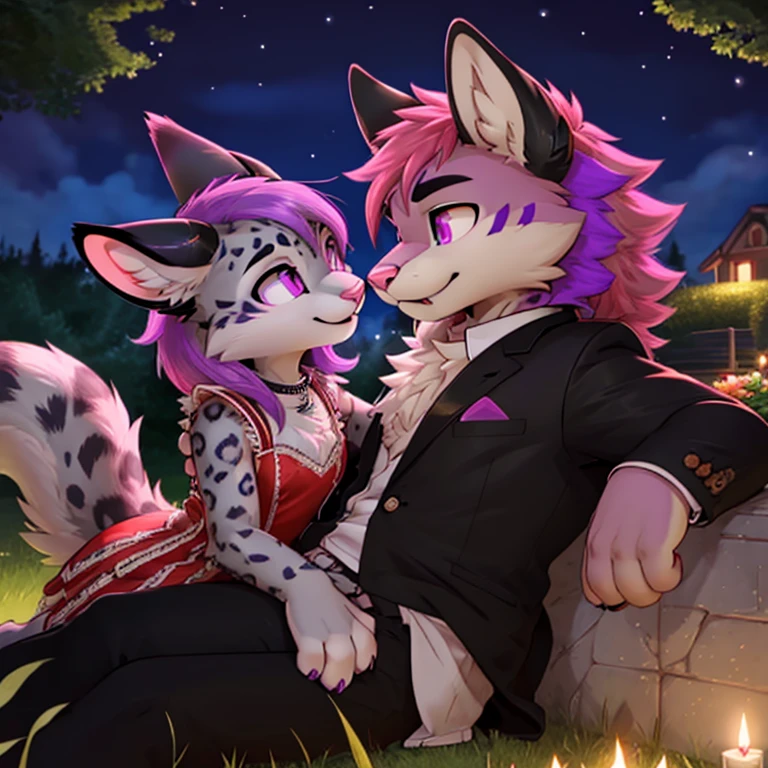 Anthropomorphic male snow leopard, with purple eyes, pink nose, 4 black ears, purple spikes on back, purple horns, with a red third eye, and a male crimson fox with pink nose, black ears, horns and purple eyes, side view, fullbody view, duo, sitting on the grass, digital art, on date, outside, wearing formal clothes, at night, talking