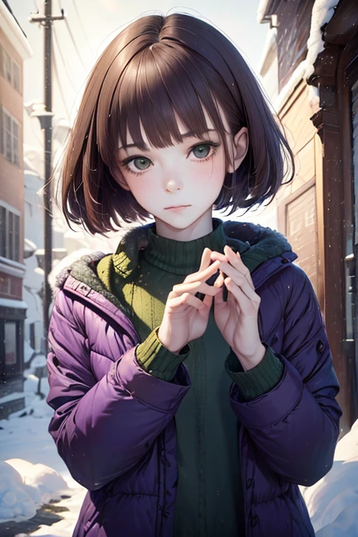 1girl, Brown hair, bob haircut, with bangs, purple snow jacket with green sweater inside, hands crossed, expressive, shop, beautiful detail eyes, realistic hands, full shot, (detailed light:1.1), (stylized:1.2), (Highly detailed), (high resolution), (Best quality), (masterpiece)