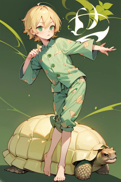 5 year old boy, little boy, blond hair, green eyes, tortoise pajama, full body,