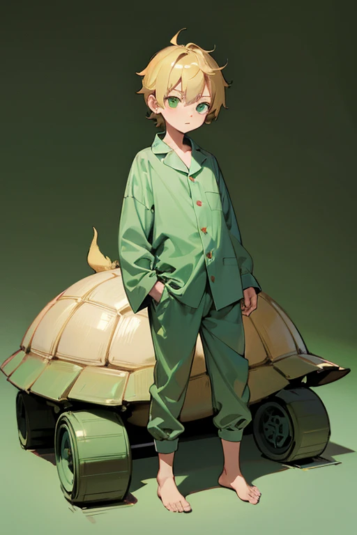 5 year old boy, little boy, blond hair, green eyes, tortoise pajama, full body, 