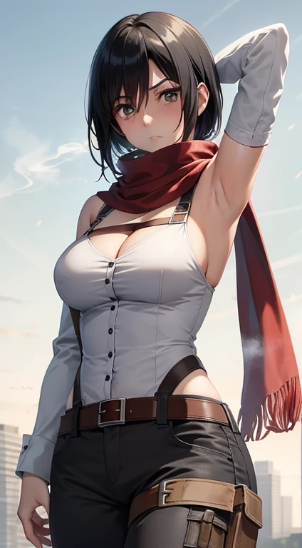 aot style, shingeki no kyojin,
mikasa ackerman,cleavage,Off-the-shoulder attire
1girl, arm strap, bangs, black hair, black pants, breasts, cowboy shot, embers, armpits, arm behind head, sweaty armpits, green eyes, grey background, hair between eyes, harness, long sleeves, looking at viewer, medium breasts, pants, red scarf, scarf, shirt, short hair, smoke, solo, thigh strap, armpit, white shirt, survey corps \(emblem\)
, ((masterpiece)), best quality
,