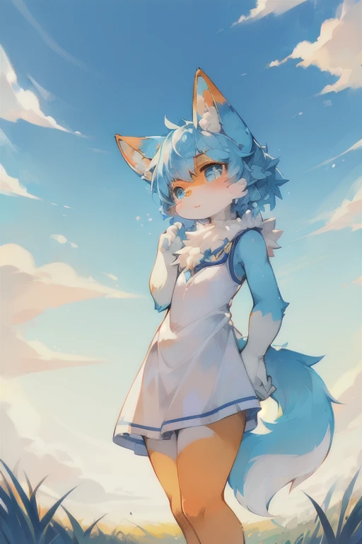 Fluffy, charming, Miss, Blue fur, Small amount of orange fur, Light blue pupils, Pure white ears,Ear tip orange,Sky blue tail, Tail tip orange, Good shape, Bright sky, cloud, grassland, solitary, 在grassland上