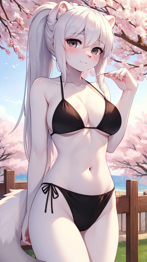 ((best quality, Masterpiece, perfect anatomy, Detailed pictures)), furry, 1 woman, arctic ferret, sexy, long white hair, ponytail, gray eyes, Shit shy, ferret tail, black bikini, red red, shy, in the cherry tree, wet, Bust 82, Waist 56, Thigh 83