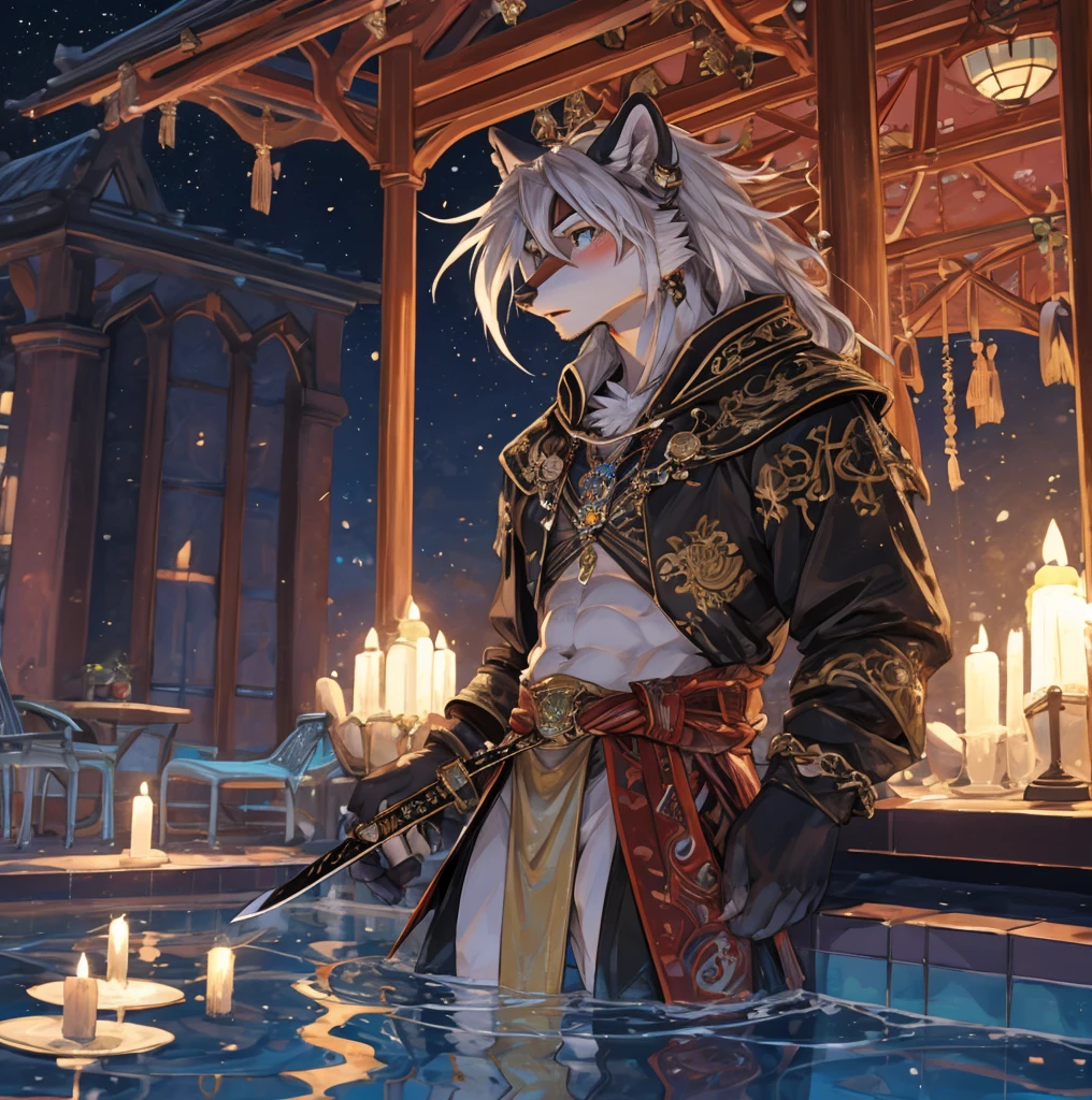 (best quality, masterpiece), 1 White Wolf, Intricate details, Serious and meticulous face, (Tiny Micro-Long Sword:1.2), transparent, Looking at the audience, Night swimming pool, blush, open mouth, White Hair, Medium Length Hair, Serious, permanent, Real background,极其lifelike阴影,masterpiece,Very detailed,lifelike。