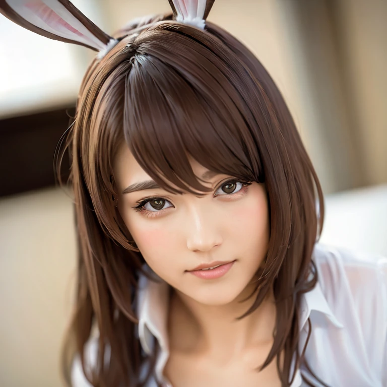 araffe wearing a bunny ears and lingersuit sitting on a bed, sexy :8, Beasts, sexy style, Yoshitomo Nara, lingerie, 2 b, 2b, lingerie!!, wearing sexy lingerie, shikamimi, sakimichan, cutecore, chiho, sophisticated gravure idol