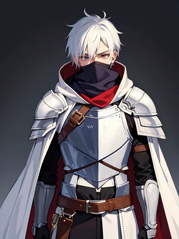 Masterpiece, best quality, expressive eyes, perfect face, 1boy, mask, white eyes, white hair, mask covering face, scarf, hood, knight armor, shoulder armor, knight gloves, belt, cape