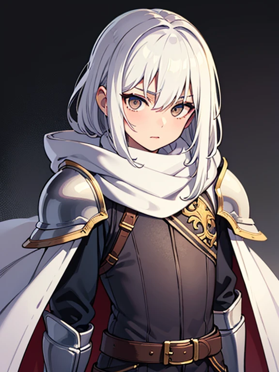Masterpiece, best quality, expressive eyes, perfect face, 1boy, mask, white eyes, white hair, mask covering face, scarf, hood, knight armor, shoulder armor, knight gloves, belt, cape