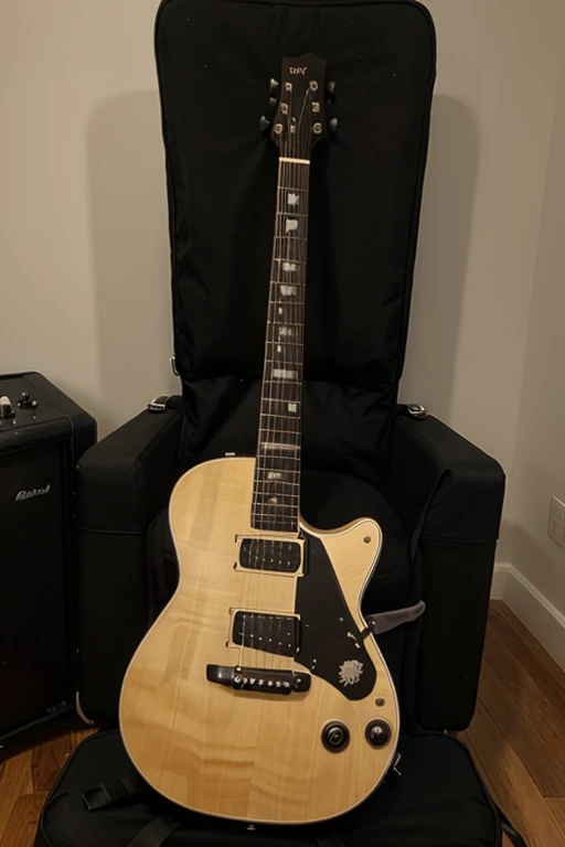make 10 dollar guitar alone