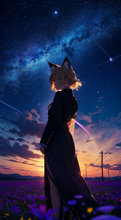1people々々々々々々々々々々々々々々々,Woman with medium length blonde hair,Fox Ears,Long coat,Takageta, Dress Silhouette, Rear View,Space Sky, Flower Field,Colorful flowers,Dancing Petals,full moon,shrine,