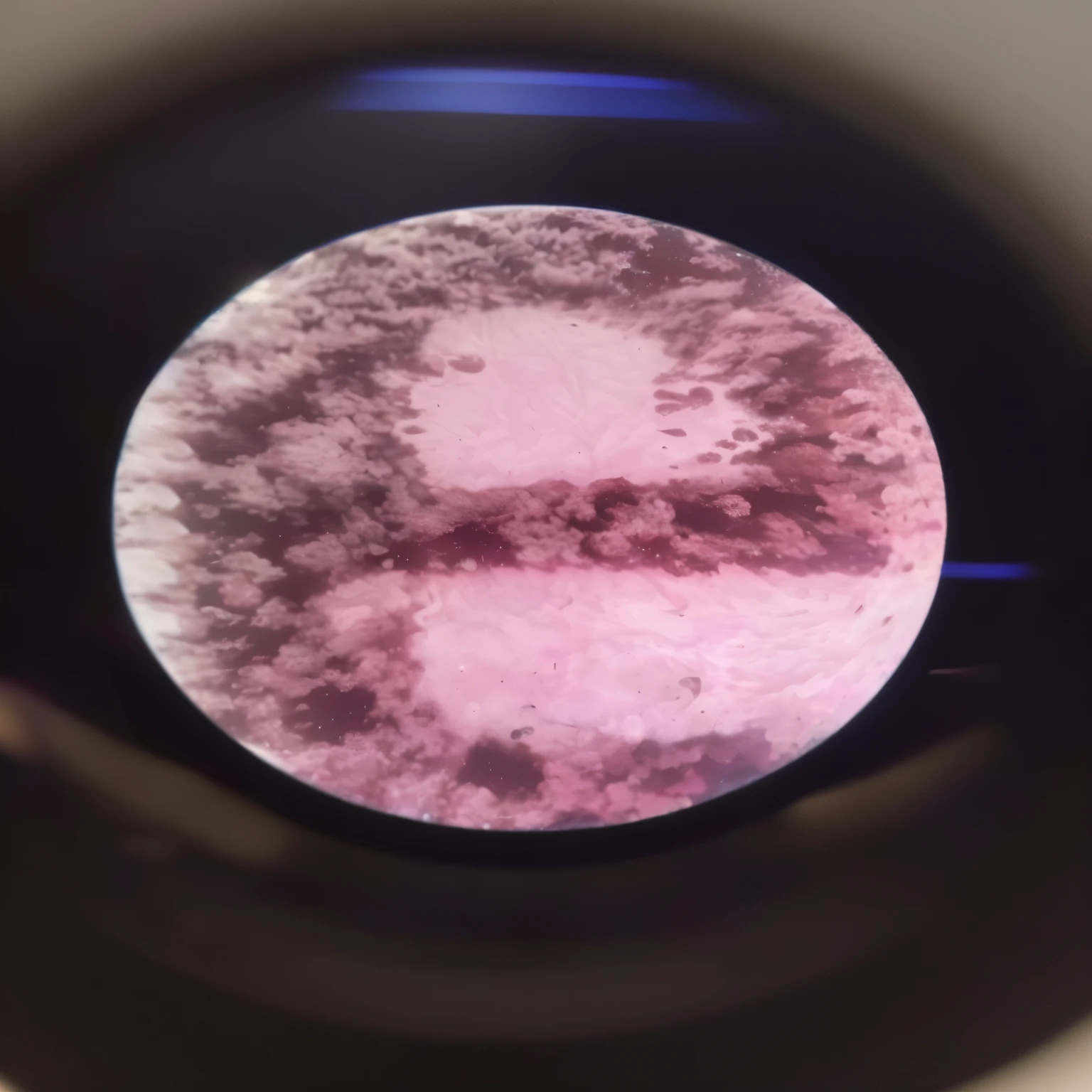 un primer plano de un objeto circular con un fondo rosa, seen through a microscope, microscopic photo, backlight diffraction, microscopic view, a microscopic photo, bajo un microscopio, lente sucia, microscopic picture, microscopic detail, prueba de rorschach, lente gelios de grano, bright microscopic view realism, microscopic