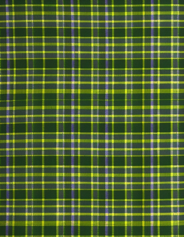 a green and black plaid fabric with a white stripe, scottish, tartan garment, celtic, tartan vestments, glasgow, scotland, scottish style, custom, inspired by Cornelia MacIntyre Foley, shire, inspired by Hinchel Or, yellow purple green black, in scotland, [ digital art, green and black, inspired by George Fiddes Watt, repeating fabric pattern
2
a green and black plaid
