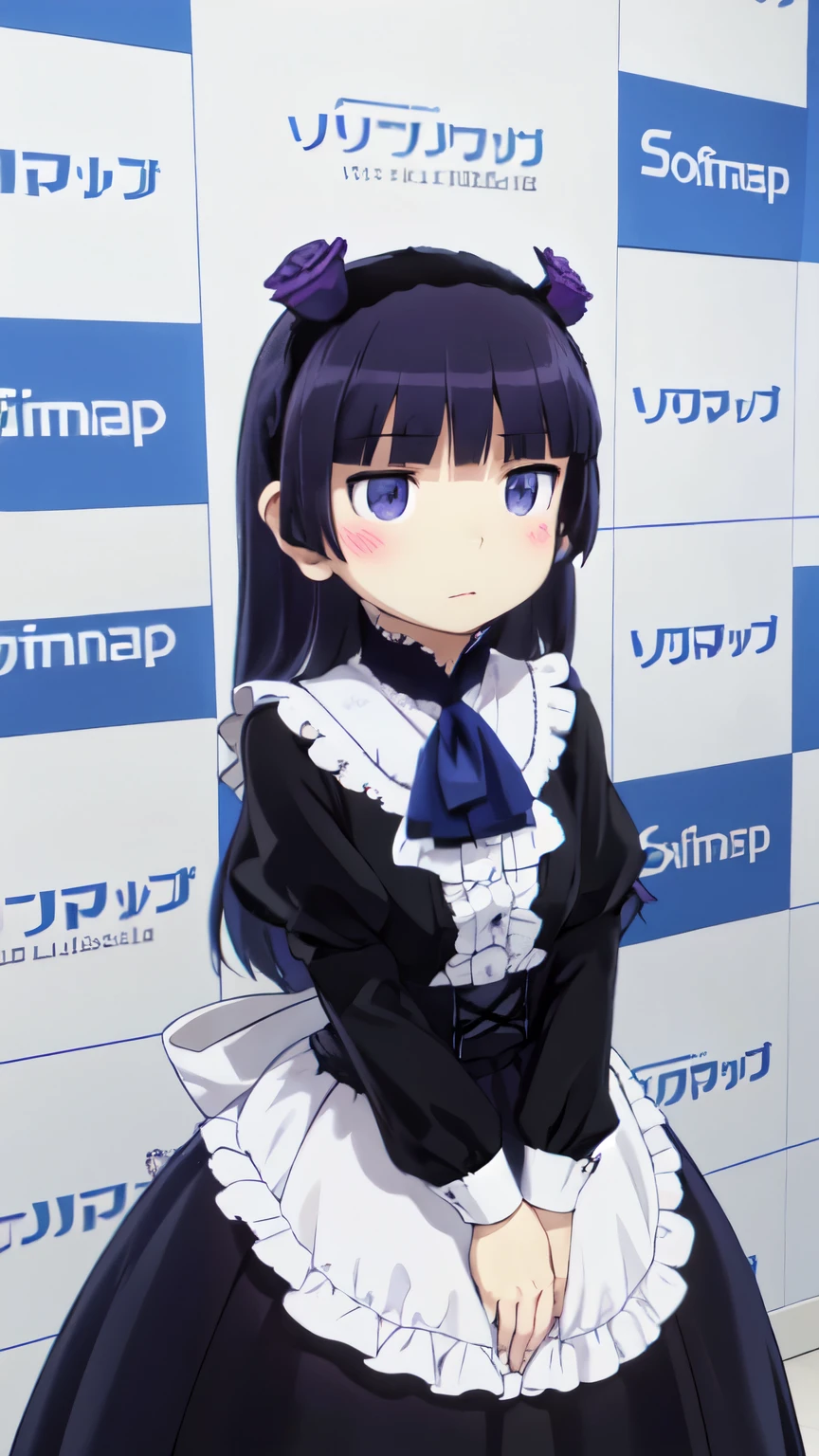 highest quality, Very detailed, figure,  
(reinokabe), checkered wall, Checkered Background, English text, Blue Theme, Memes,
1 girl, alone, girl, Hime cut, Gothic Lolita, Lolita Fashion, head band, (ruri gokou)