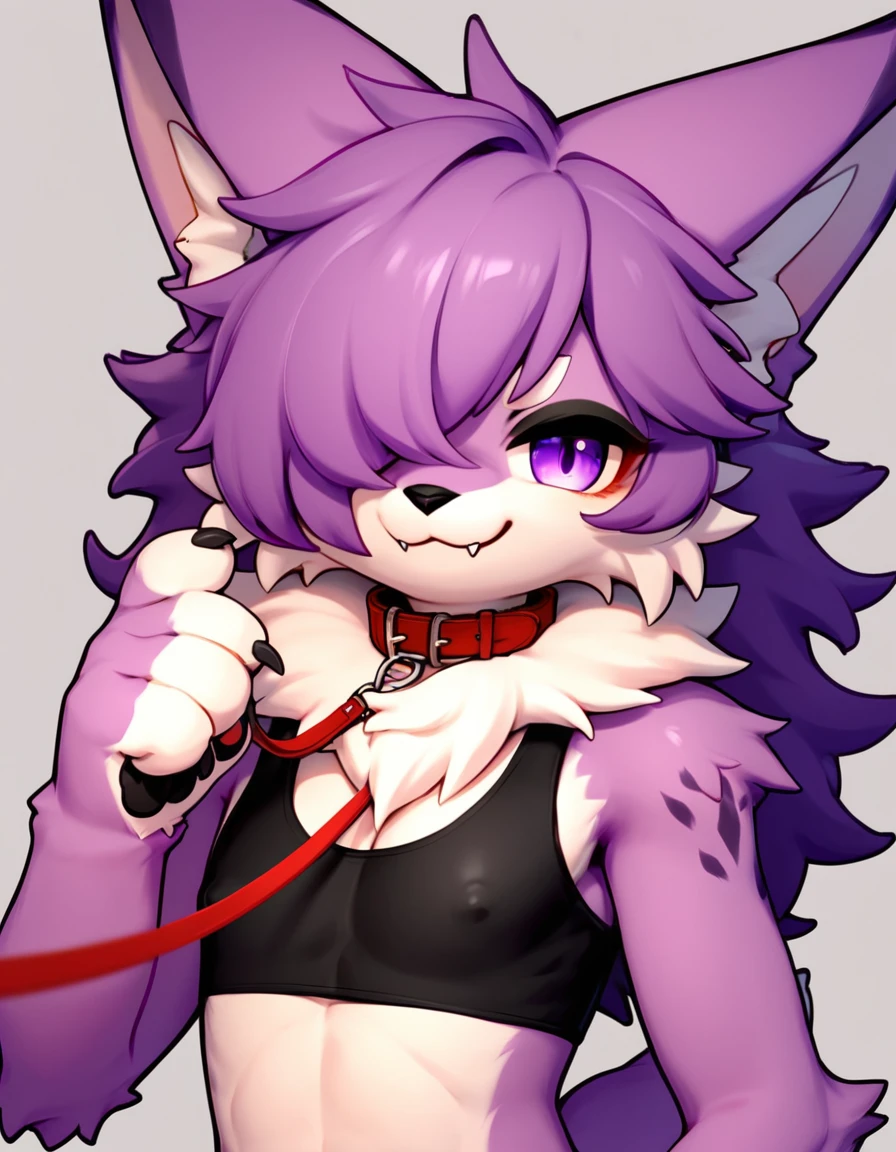 score_9,score_8_up,score_7_up,score_6_up,score_5_up,score_4_up, Lynx, purple fur, purple eyes, anthro, long hair, wavy hair, purple hair, eyeliner, eyelashes, black eyeshadow, furry art, cheeks tuft, shoulder tuft, male focus, femboy, finguerless gloves, cute fangs, kemono, shota, neck fluff, fluffy neck, claws, black nails, evil smile, solo focus, bedroom background, covered nipples, fluffy tail, 3d, blender software, crop top, hair over eye, head tuft, 5 fingers, collar with leash, vinyl material,