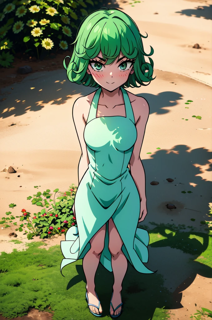 absurdres, highres, ultra detailed, tatsumakitornado, short green hair, curly hair, white sun dress,outdoors, green eyes ,full body ,looking up at veiwer, blushing ,standing,smile, holding roses 