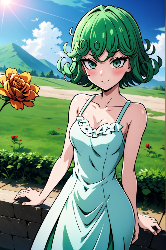 absurdres, highres, ultra detailed, tatsumakitornado, short green hair, curly hair, white sun dress,outdoors, green eyes ,full body ,looking up at veiwer, blushing ,standing,smile, holding roses 