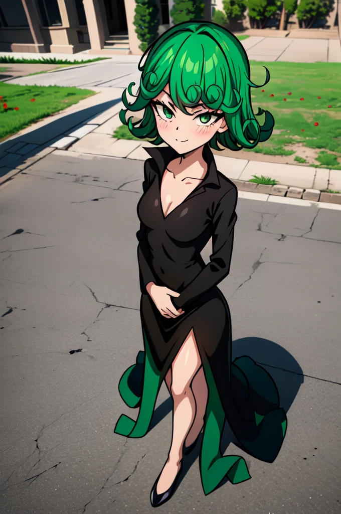 absurdres, highres, ultra detailed, tatsumakitornado, short green hair, curly hair, black sun dress,outdoors, green eyes ,full body ,looking up at veiwer, blushing ,standing,smile, holding red roses 