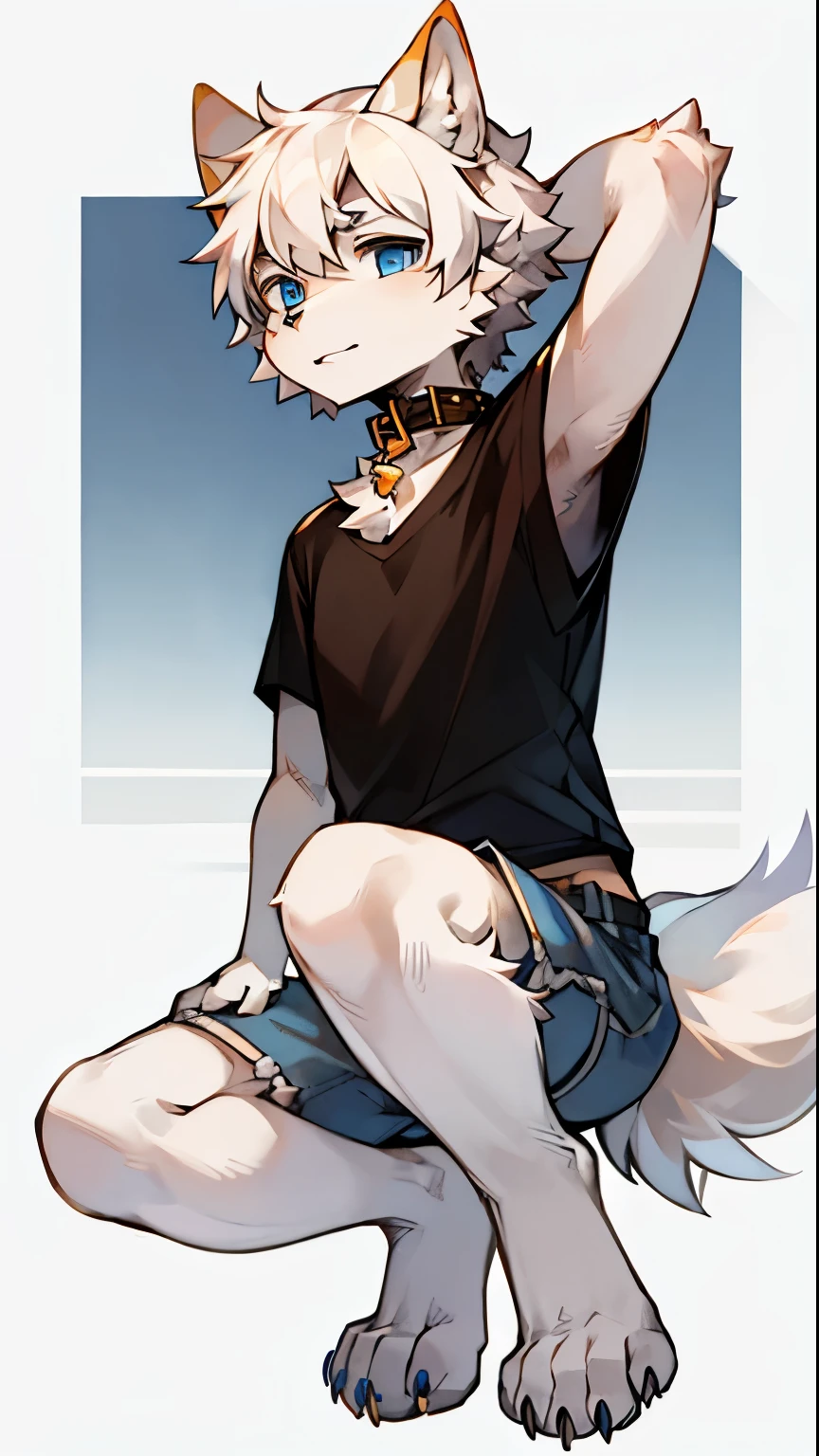 （masterpiece：1.2），（Anatomically correct：1.1），（high quality：1.5），（（（solo male anthropomorphic））1 Little Wolf，White fur，Deep blue eyes，（Tianbi），White Claw，Whitefoot，Dog hands，（Detailed dog legs：1.2），4 Toes，detaileds，（（1 Little Wolf）），[number\（A work of art）：：：0.8]，4 Action Lines：1.1），Single hairy tail，[watercolor（A work of art）：0.6]，collar，Komono，white hair，Short hair details，t-shirt，Grey shorts