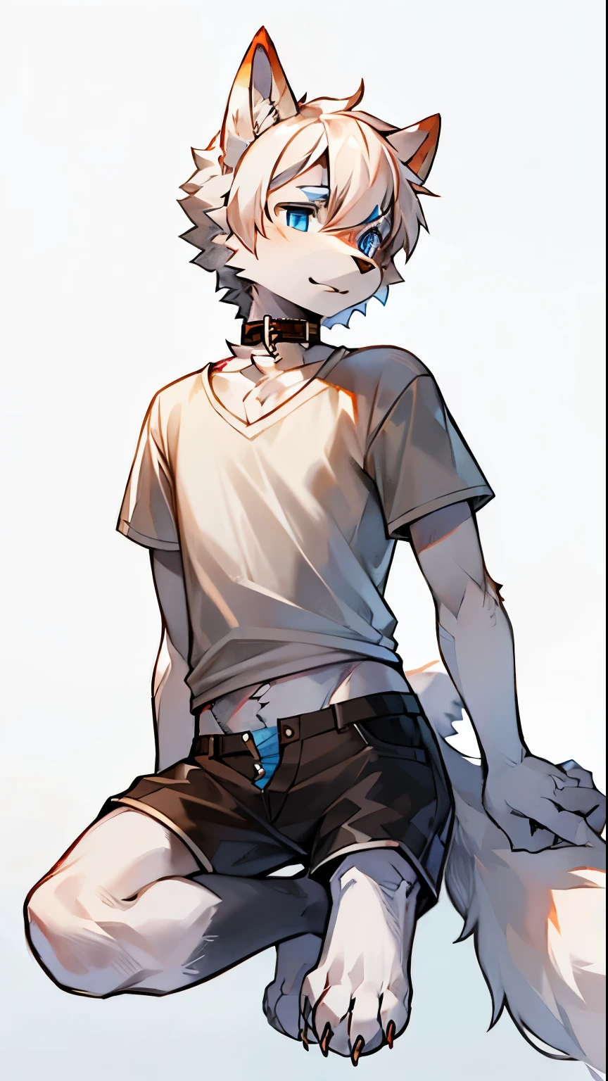 （masterpiece：1.2），（Anatomically correct：1.1），（high quality：1.5），（（（solo male anthropomorphic））1 Little Wolf，White fur，Deep blue eyes，（Tianbi），White Claw，Whitefoot，Dog hands，（Detailed dog legs：1.2），4 Toes，detaileds，（（1 Little Wolf）），[number\（A work of art）：：：0.8]，4 Action Lines：1.1），Single hairy tail，[watercolor（A work of art）：0.6]，collar，Komono，white hair，Short hair details，t-shirt，Grey shorts