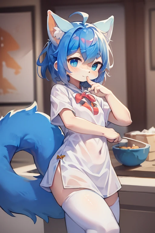 Fluffy, Lovely, woman, Blue fur, Small amount of orange fur, Light blue pupils, Pure white ears,Ear tip orange,Sky blue tail, Tail tip orange, Good shape,White gorgeous cheongsam