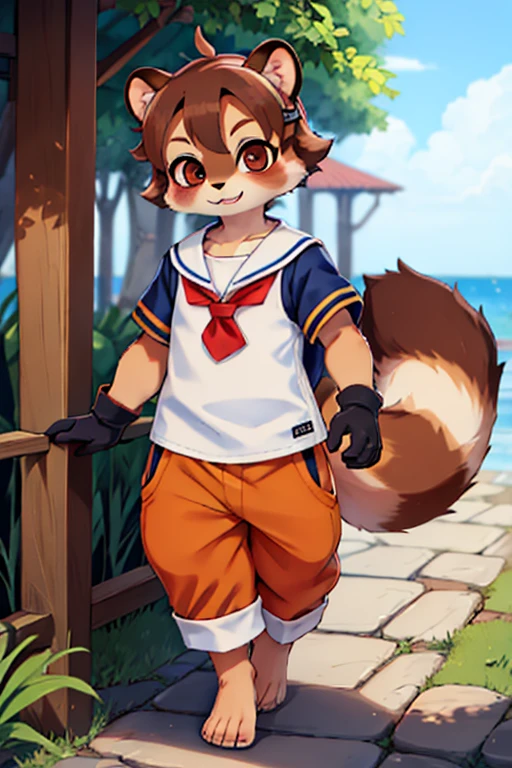 boy, tanuki, furry, bodyfur, tail, Sailor suit, short sleeve, jersey pants, long trousers, gloves, barefoot, bulge