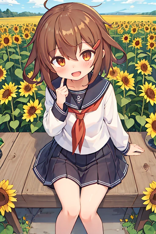 masterpiece, highest quality, High resolution, One girl, ikazuchi_kantaicollection Brown_hair, short_hair, hairclip, hair_ornament, Brown_eye, serafuku, tooth, Open_mouth, smile, blush,Sunflower Garden,