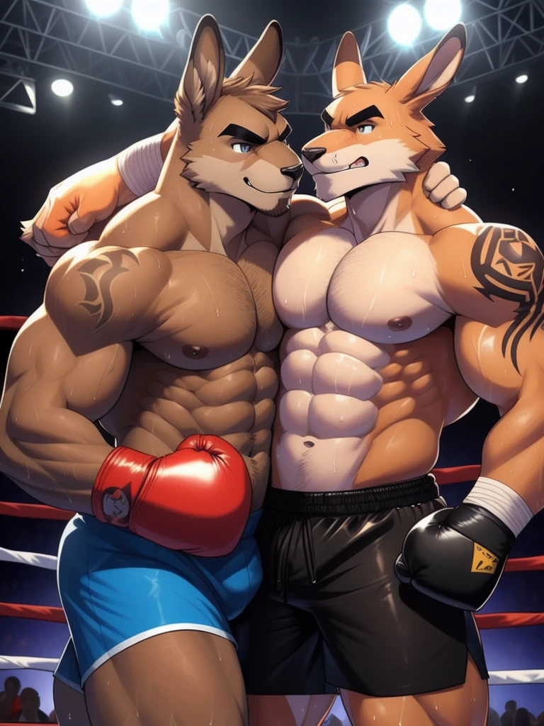 Duo male fighters(Brown Kangaroo vs Marrow Kangaroo, handsomes, perfect eyes, Thick eyebrows), beso gay(cuddling embraced, in a boxing match), hot(Shirtless), handsomes(They are handsomes, correct anatomy), musculosos(Big muscle bodies, Six packs, muscle abs, big pecs, muscle backs), sweaty(very sweaty wet bodies), tatuajes(they have tattoos), Angry(They have an angry expression), boxing gloves(They both are wearing boxing gloves), Shorts(They are wearing black shorts), Hight resolution 