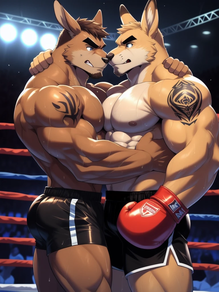 Duo male fighters(Brown Kangaroo vs Marrow Kangaroo, handsomes, perfect eyes, Thick eyebrows), beso gay(cuddling embraced, in a boxing match), hot(Shirtless), handsomes(They are handsomes, correct anatomy), musculosos(Big muscle bodies, Six packs, muscle abs, big pecs, muscle backs), sweaty(very sweaty wet bodies), tatuajes(they have tattoos), Angry(They have an angry expression), boxing gloves(They both are wearing boxing gloves), Shorts(They are wearing black shorts), Hight resolution 