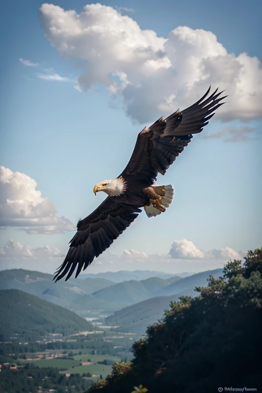 Kung Fu flying eagle