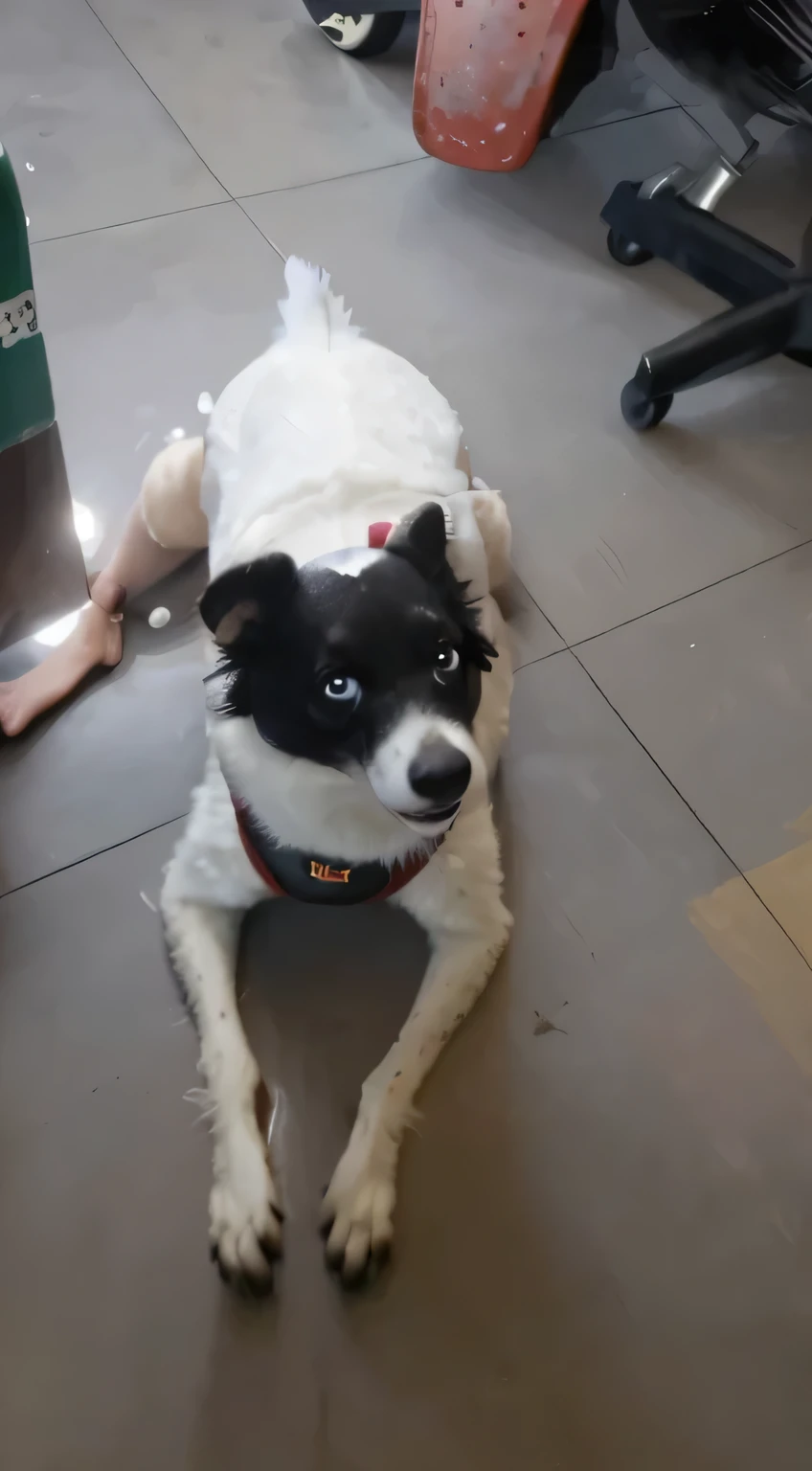 crie um mascote estilo disney pixar com carrinho sorrindo e feliz mantendo a coleira preta com vermelha