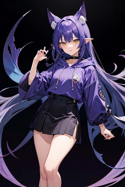 Blue-violet hair、Bat's ears、Yellow Eyes、Purple hoodie、Black short skirt