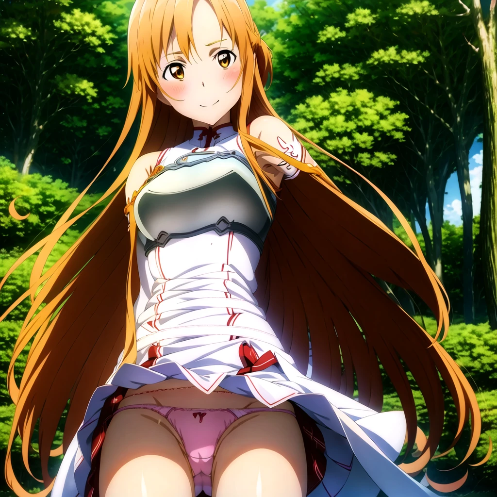 {{Asuna Yuuki(SAO)}}},official style,2d cel anime, gleaming skin,strong light coming in,
One girl, alone,stage,Portraiture,View your viewers,((Cotton panties with crotch)),(((Skirt flip, I can see your panties))),squat,Spread your legs,Spread your legs,From below,((Cotton panties with crotch)),(((Skirt flip, I can see your panties))),((Cotton panties with crotch)),(((Skirt flip, I can see your panties))),Embarrassing,blush,