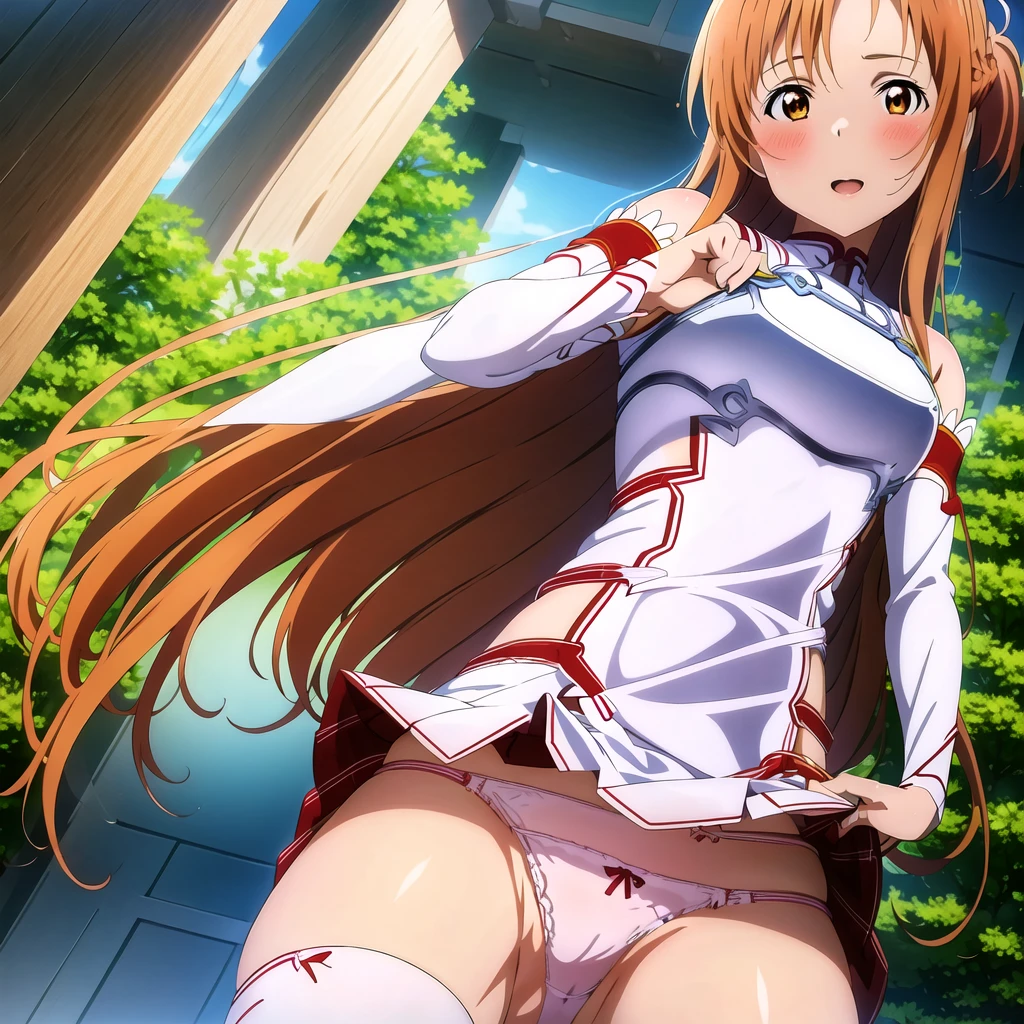 {{Asuna Yuuki(SAO)}}},official style,2d cel anime, gleaming skin,strong light coming in，
One girl, alone,stage,Portraiture,View your viewers，((Cotton panties with crotch))，(((Skirt flip, I can see your panties)))，squat，Spread your legs，Spread your legs，From below，((Cotton panties with crotch))，(((Skirt flip, I can see your panties)))，((Cotton panties with crotch))，(((Skirt flip, I can see your panties)))，Embarrassing，blush，