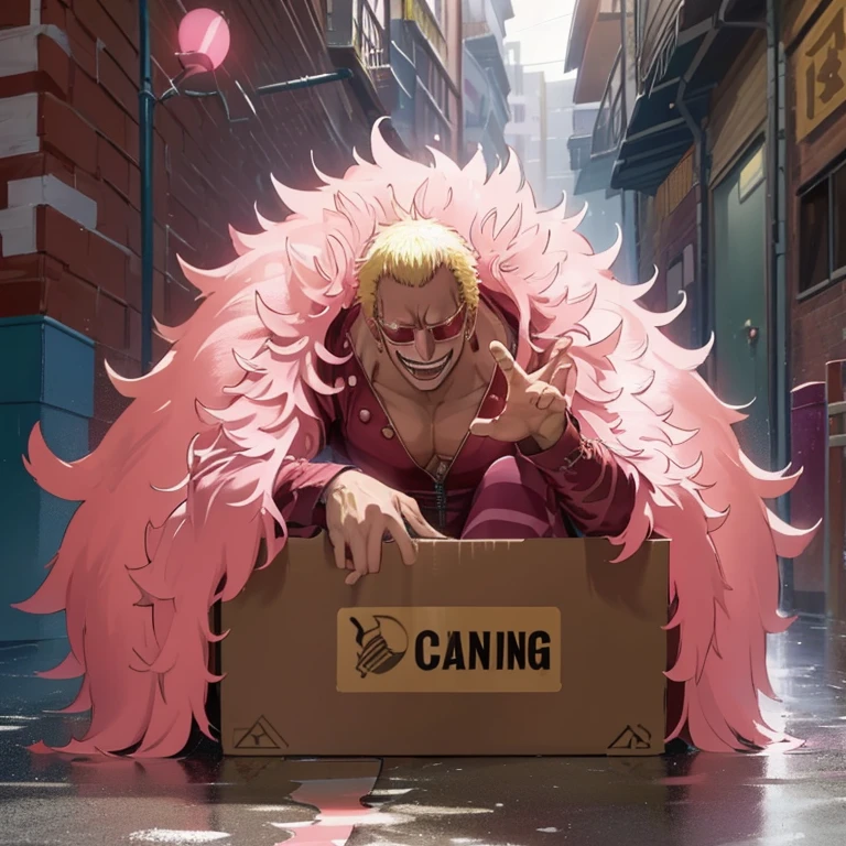 Rainy Back Alley、Doflamingo having fun in a cardboard box