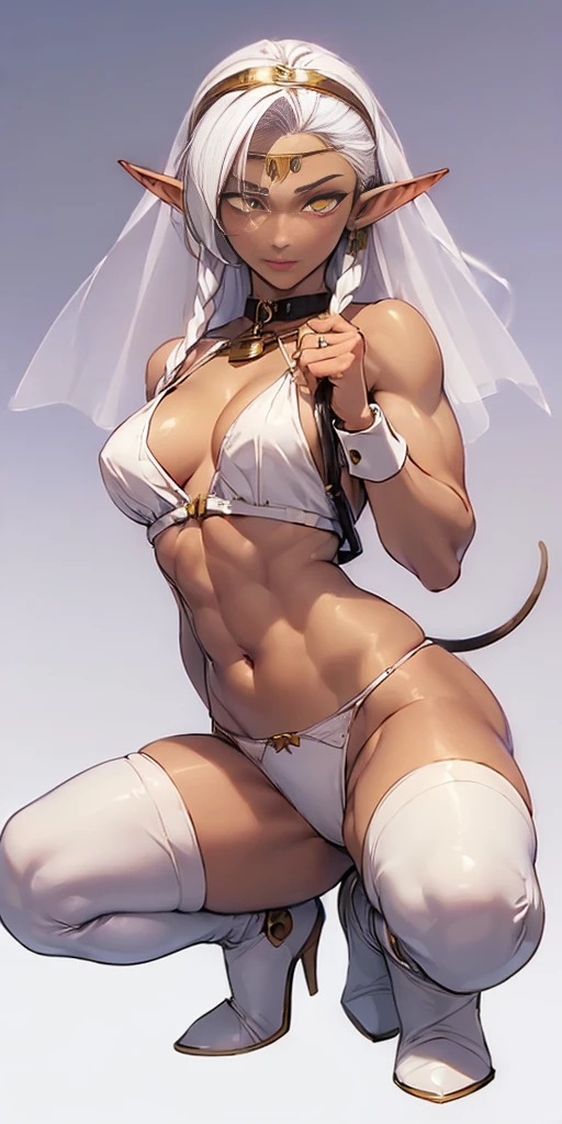 (((Plain background 1:2))) (masterpiece, high quality: 1.1) 1girl solo looking to the viewer, view from below, far shot, cow boy shot, hairstyle with a braid, white colored hair, perfect lighting, muscular, thighs, mature woman, mummy, bellybutton, abs, looks at the viewer, jewelry, leash, lingerie, looking at viewer, navel, closed mouth, paw pose, pet bowl, pet play, pointy ears, revealing clothes, ring, roses spread legs, squatting, striped clothes, striped panties, symbol-shaped pupils, tail, thigh highs, tiara, saliva drop, underwear, veil, viewer holding leash, wedding band, wedding dress, white footwear, white hair, white panties, yellow eyes (Pirotess (Record of Lodoss War) LORA) (dark elf dark skin)
