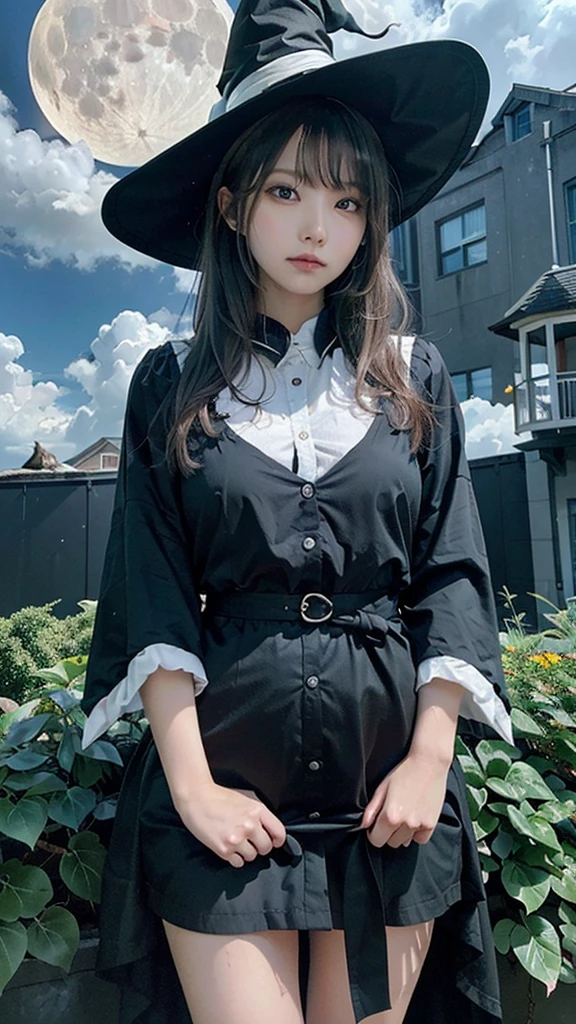 highest quality, Very detailed, masterpiece, Very detailed, cloud, witch_Have, Have, One girl, null, green_null,Day, length_hair, cloudy_null, moon,bird, alone, Silver_hair, witch, Outdoor